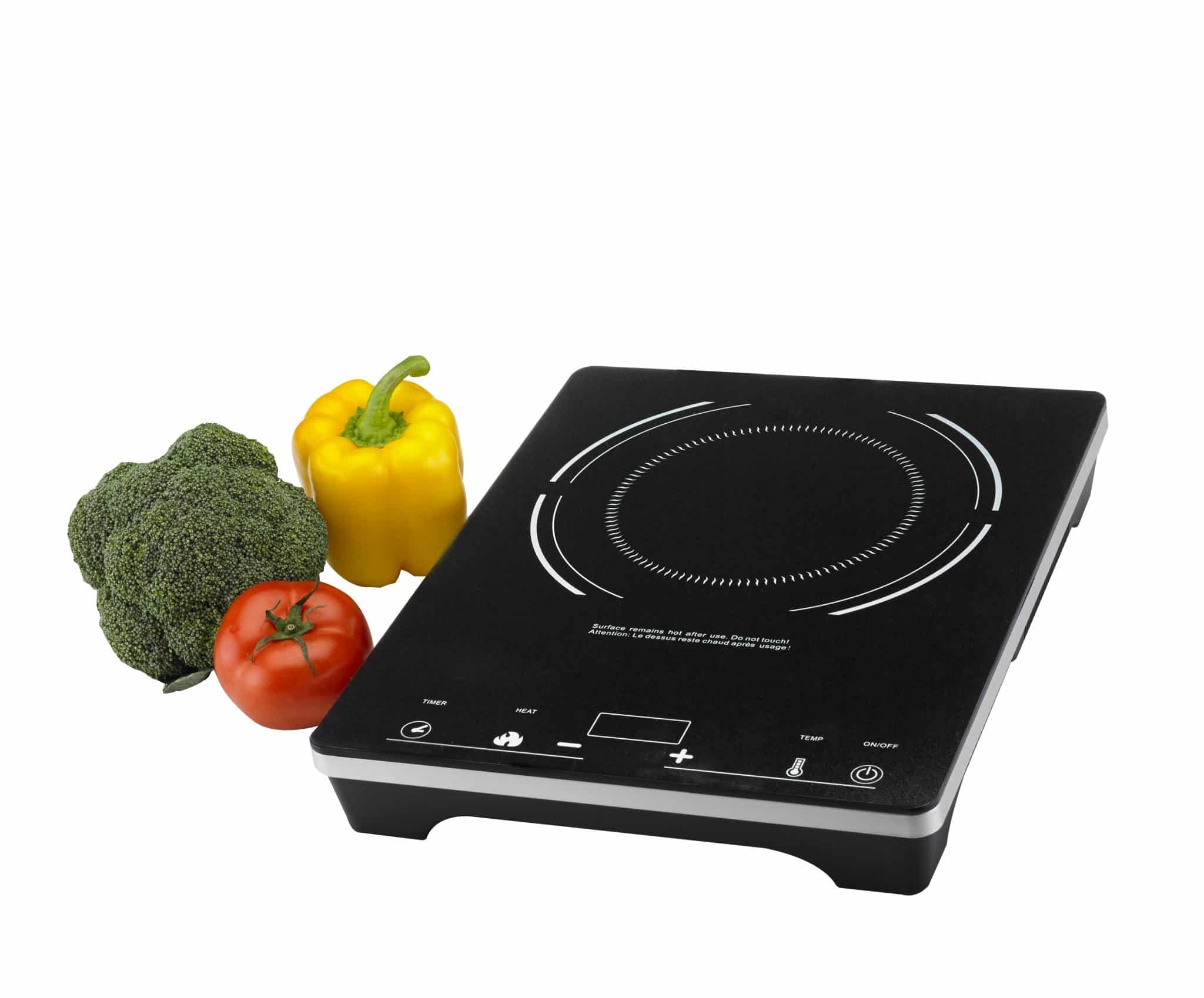 S2F2 Double Induction Cooker Eurodib Inc.