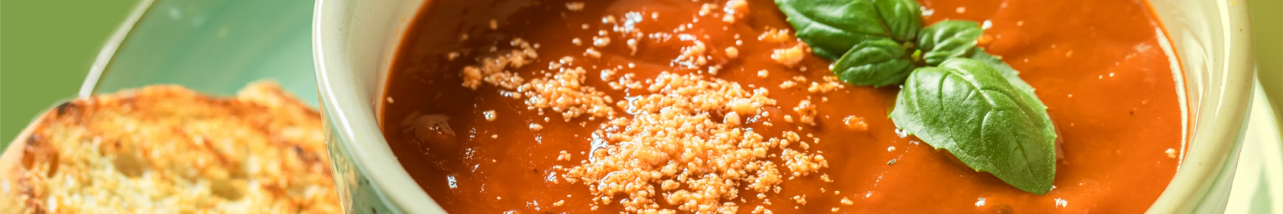 Mélangeurs plongeants Banner Background